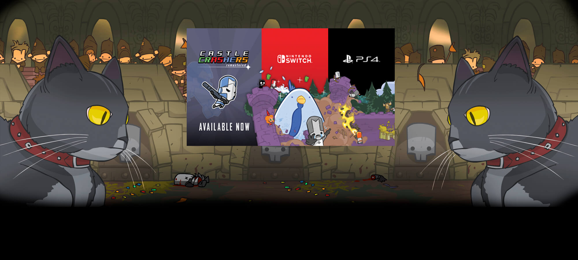 why isnt there a castle crashers 2